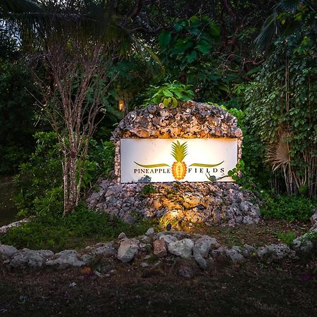 Pineapple Fields Governor's Harbour Exterior foto